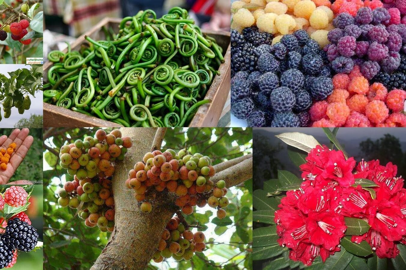 WhatsApp Image 2025-10-30 at 20.11.21_ef4ff4b3